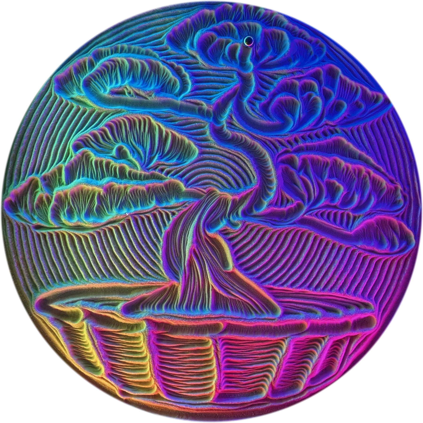 Bonsai pattern traced in sand